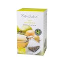 White_Pear_Tea_54118f630c496